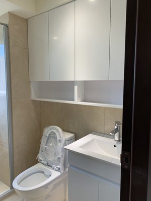 台中系統櫃--潔淨白雙開門系統浴吊櫃 { 湯姆 發泡板系統櫃組 } 客製化 可訂製鏡浴櫃