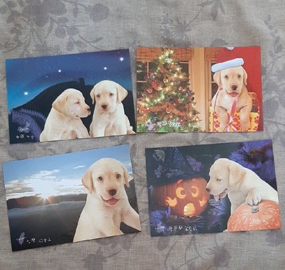 【紫晶小棧】舒潔 明信片 (1組4張 ) 拉不拉多 狗狗 品牌收藏 文具