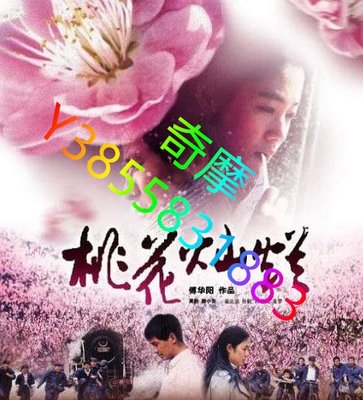 DVD 賣場 電影 桃花燦爛 2005年