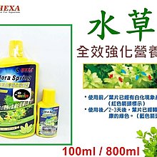 水草hexa 團購與ptt推薦 年11月 飛比價格