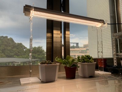 植物燈 led植物燈 臺灣製造 植物燈管 LED 全光譜 植物生長 3呎 燈管 三防燈 防水植物燈