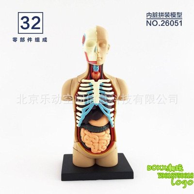 BOxx潮玩~4DMASTER 人體解剖拼裝模型 生物教學教具 內臟26051