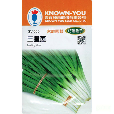 種子王國 三星蔥 Bunching Onion(sv-560)  四季蔥【蔬菜種子】農友種苗特選種子 每包約2公克