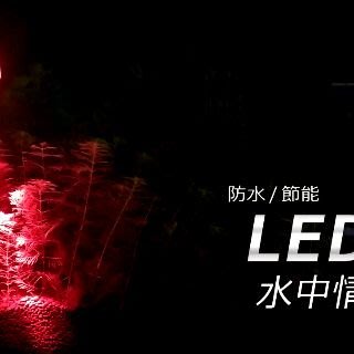 【AC草影】LED情境水中燈（1W 紅色）【一個】