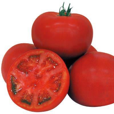 以色列牛番茄種子一包70元