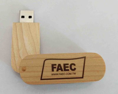 全新 高質感 木製 USB隨身碟 4GB 木質USB隨身碟 (圖片是USB隨身碟實際拍攝照片)