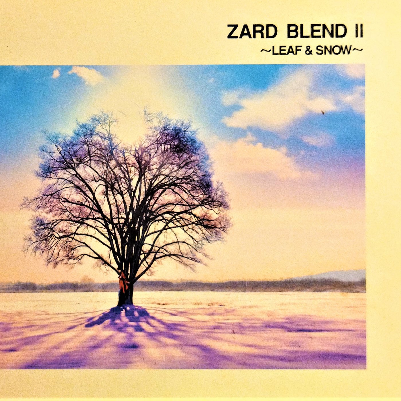 ZARD ~ ZARD BLEND II ～LEAF u0026 SNOW～ 日版已拆近全新