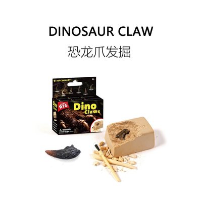 侏羅紀恐龍爪考古挖掘化石稀奇古怪兒童成人收藏~優惠價
