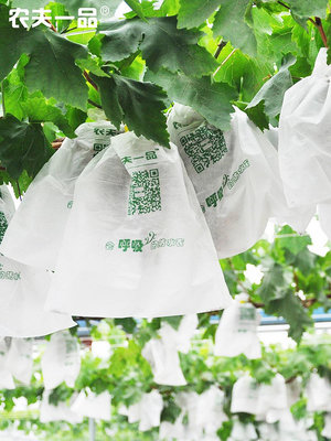 可開發票廠家直銷陽光玫瑰葡萄專用套袋防鳥防果蠅白色枇杷石榴瓜果保護袋