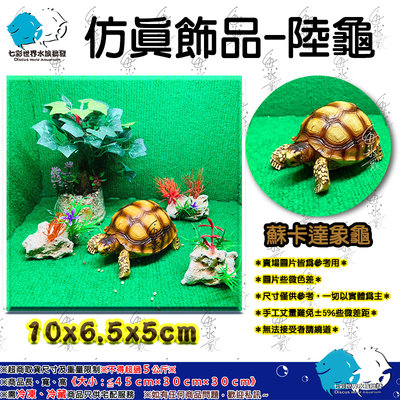 仿真飾品【陸龜模型-蘇卡達象龜】多用途造景＊魚之歡