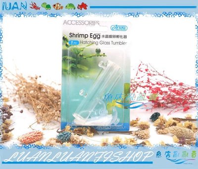 【~魚店亂亂賣~】台灣ISTA伊士達IF-728玻璃水晶蝦卵孵化器(營造抱蛋蝦卵孵化環境)