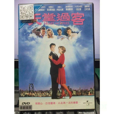 影音大批發-Y52-003-正版DVD-電影【天堂過客 便利袋裝】-小勞勃道尼-魔幻浪漫喜劇