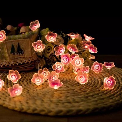 亞馬遜粉色櫻花燈串 仿真櫻花梅花造型裝飾串燈電池盒銅線燈
