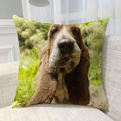 《獨家預購》巴吉度獵犬抱枕靠墊來圖客製化可愛辦公室沙發椅靠背被墊枕頭含芯巴吉度獵犬 可來圖訂做 生日禮物bz0443