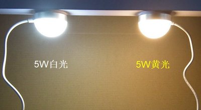 5W強光LED兩檔可調光USB燈 創意吸頂燈 護眼檯燈小夜燈