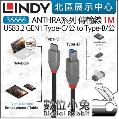 數位小兔【 LINDY 林帝 36666 USB3.2 GEN1 TYPE-C TO TYPE-B 傳輸線 1M 】1米