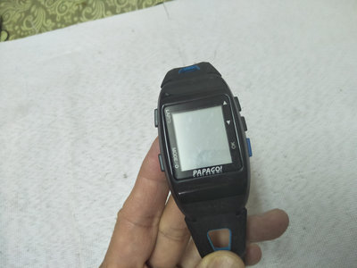 2. PAPAGO GoWatch770 GPS 運動錶 / 一 枝