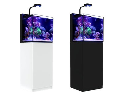 【魚店亂亂賣】Red Sea 紅海Max Nano海水超白玻璃背部過LED套缸組(黑色)提問享折扣碼