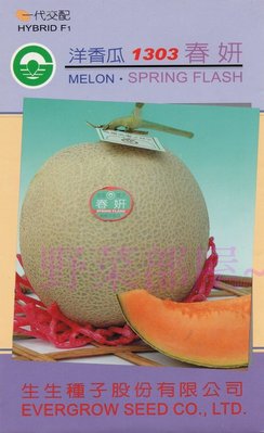 【野菜部屋~】R21 春妍洋香瓜種子 1粒 , 知名品種 , 皮薄肉厚 , 每包15元 ~