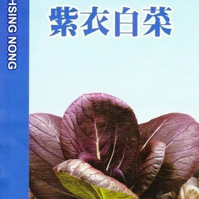 紫衣白菜(紫色小白菜) 【蔬果種子】興農牌中包裝 每包約2ml