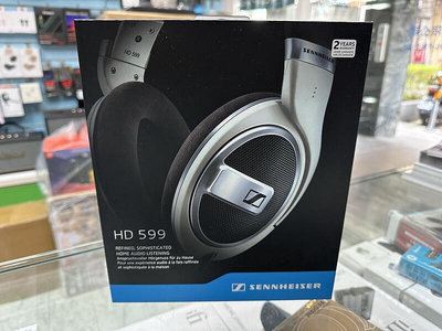 禾豐 送收納袋 宙宣公司貨保2年 SENNHEISER HD599 HD-599 耳罩 另hd650