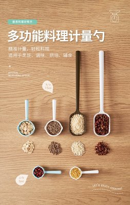 日本復古大小短柄計量匙/量勺_2入組 spoon湯匙調味罐糖 調味料鹽 咖啡粉 味精 湯匙 廚房小道具