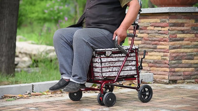 奇奇老年代步車折疊購物車可坐四輪買菜助步可推小拉車老人便攜手推車