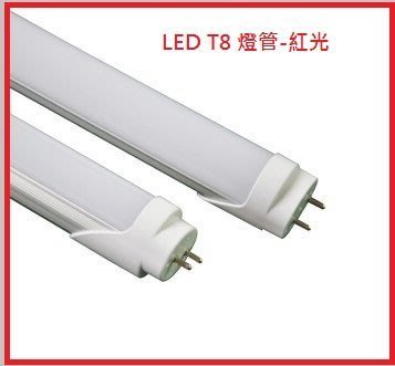 LED燈管 LED T8燈管 LED日光燈管 LED紅光燈管 神明桌燈管 LED紅光日光燈管 1尺 全電壓 紅光