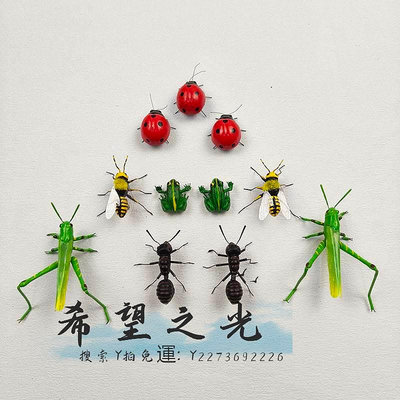 標本仿真昆蟲子擺件青蛙七星瓢蟲標本蜜蜂模型蟬動物工藝裝飾拍攝道具