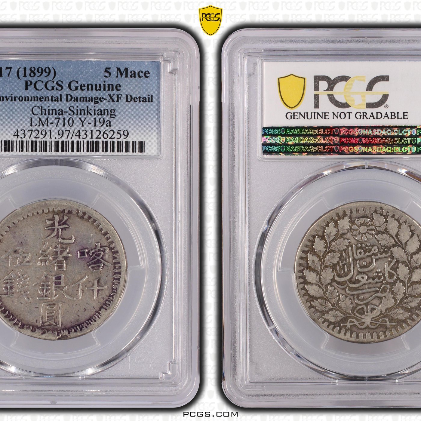 新疆省造光绪銀元伍錢AH1317喀什 PCGS XF97 包漿不錯 [認證編號43126259] 【和美郵幣社】