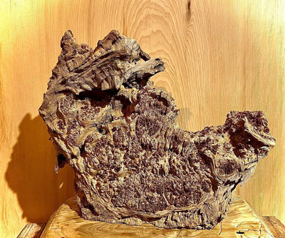 台灣紅檜樹瘤 鐵釘 材料 雕件