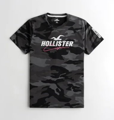 HCO Hollister 海鷗 短袖 T恤 現貨 貼布刺繡logo  美國姐妹屋