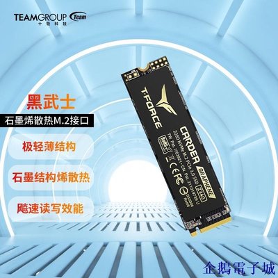 溜溜雜貨檔十銓科技 十銓 Z340SSD固態硬碟石墨烯散熱M.2接口PCIe3.0 x4協議高速低耗能 Z340 1TB