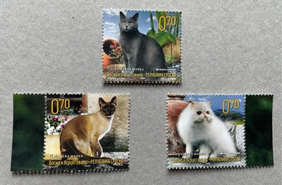 2009波士尼亞赫塞哥維亞，最左暹羅貓、中央俄羅斯藍貓、右波斯貓。