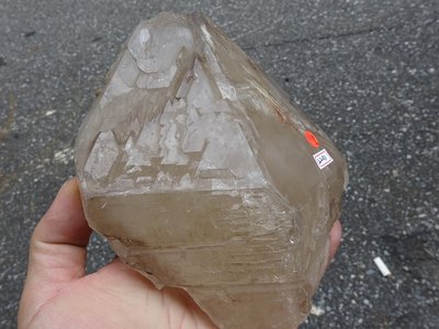 ~shalin-crystal~手握式~超完整優質巴西鱷魚骨幹水晶~1.113公斤~低價起標!!不錯喔!