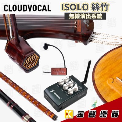 【金聲樂器】ISOLO 絲竹無線演出系統 - 全新上市