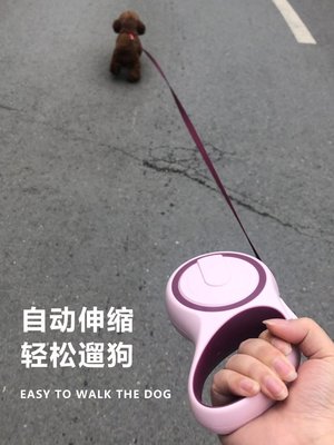 狗狗牽引繩伸縮遛狗神器小型犬中型犬背帶寵物狗鏈自動收縮狗繩子