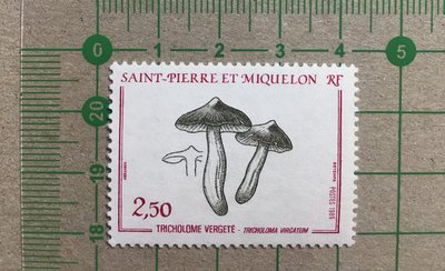 【郵卡庫】【菇】法屬聖皮埃與密克隆1989年SC489，菇 1全，新票  SP2147