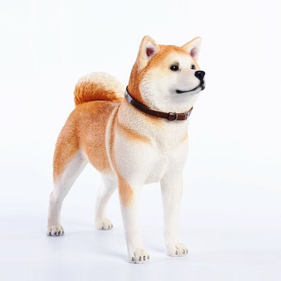 堅実な究極の 日本犬 その他 - brightontwp.org