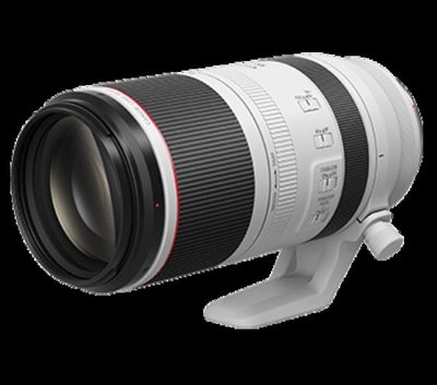 Canon RF 100-500mm F4.5-7.1L IS USM 超望遠變焦鏡 公司貨【現折+回函送郵政禮券~2024/6/30止】