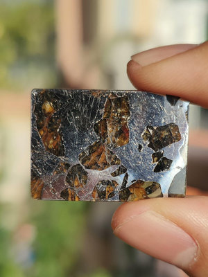 【二手】隨城橄欖隕石切片畫面象形《蝎子王》隨城橄欖隕石資源已經接近 奇石 戈壁石 擺件【十大雜項】-15073