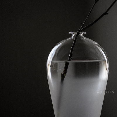 花瓶 瓶 玻璃透明花器水養插花家居客廳茶道擺件