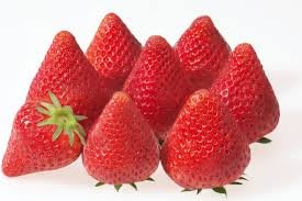 "草莓一族"日本草莓種子/岐阜美濃娘(みのむすめ)/8粒入種子