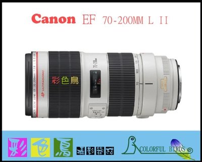彩色鳥(租 鏡頭 相機 DV)租 Canon EF 70-200mm f2.8L IS III USM (小白3代)