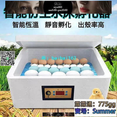 現貨：110V 12V 雙電 半自動孵化器 孵蛋機 智能型傢用孵蛋器 照蛋燈 智能水牀 小型  孵蛋器 孵化箱