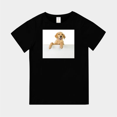 T365 MIT 親子 童裝 情侶 T恤 T-shirt 短T 狗 DOG 黃金獵犬 Golden Retriever