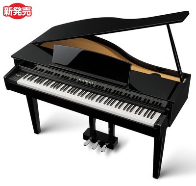 【上統樂器】KAWAI 河合 電鋼琴DG30 EP平台式 88鍵 數位鋼琴 電鋼琴 可掀頂蓋 黑保證公司貨 保固2年（上統樂器36週年慶特價中）