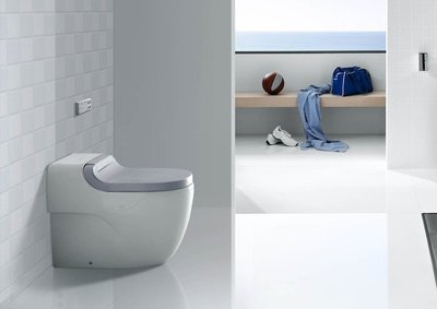 ╚楓閣精品衛浴╗ Roca   IN-WASH MERIDIAN  全自動馬桶(灰色)A8113512F1【西班牙】
