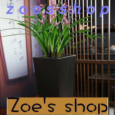 zoe-花器 種植盆 廠家直銷大號花盆大口徑蘭花盆專用陶瓷蝴蝶蘭君子蘭盆栽