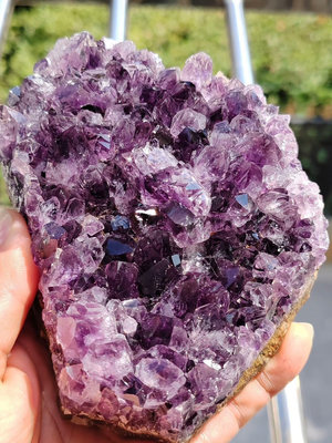 烏拉圭天然紫水晶晶簇 顏色漂亮，晶牙完整